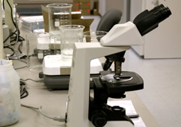 Food science laboratory